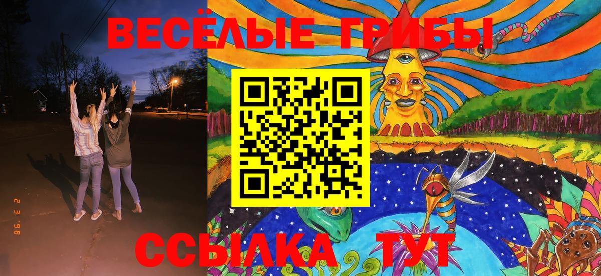 Псилоцибиновые грибы GOLDEN TEACHER  закладки  Старая Русса 