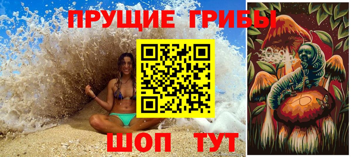 Галлюциногенные грибы Psilocybine cubensis Старая Русса