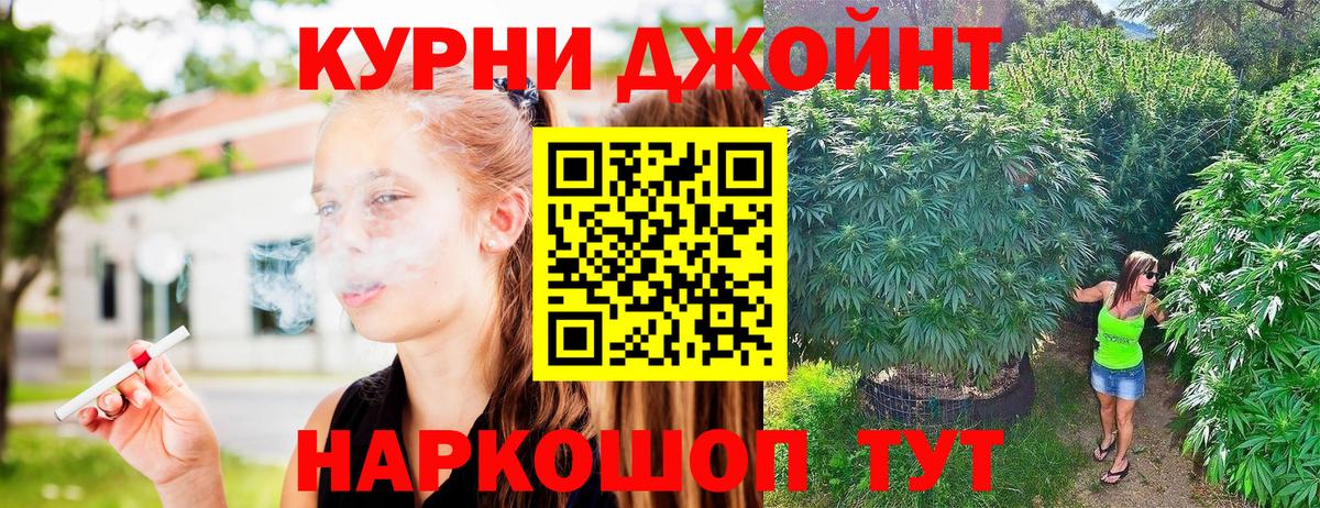 Шишки марихуана сатива  Бошки марихуана конопля  Каннабис семена  Бошки марихуана тримм  Старая Русса 